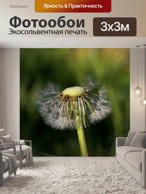 Фотообои Природа