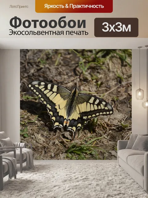 Фотообои Бабочка
