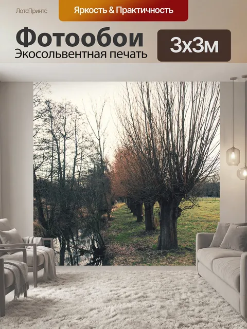 Фотообои Дерево