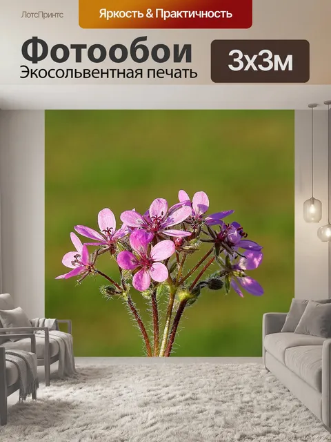 Фотообои Цветы