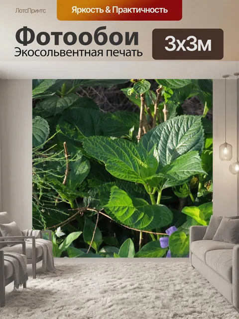 Фотообои зеленые листья гортензии
