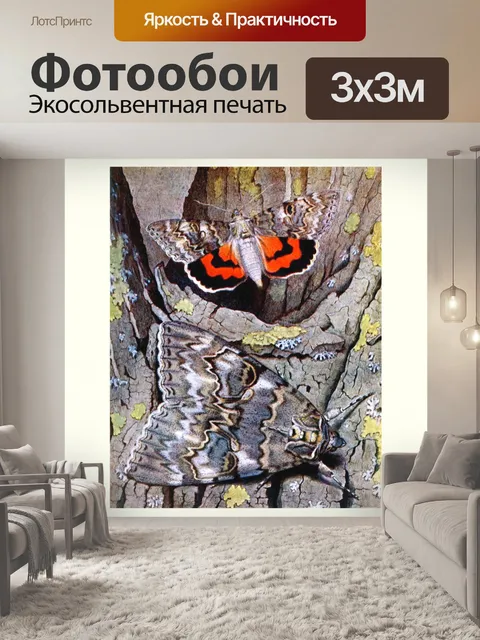 Фотообои Мотылек бабочка винтажное искусство
