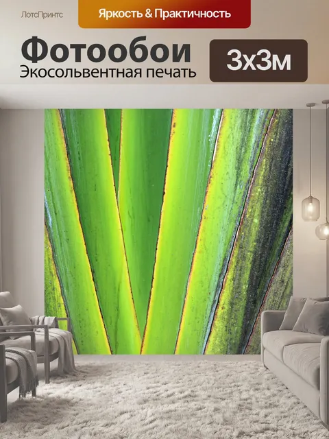 Фотообои Листья 3