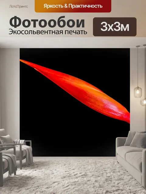 Фотообои Стрелиция