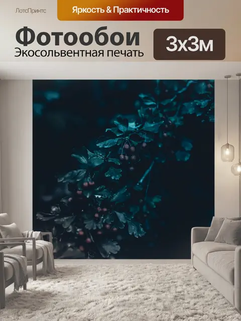 Фотообои Фрукты