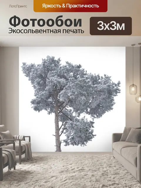 Фотообои Челюсть