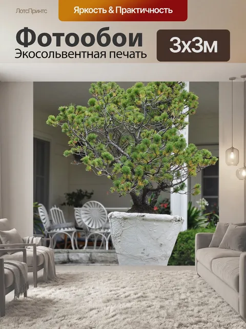 Фотообои Сад