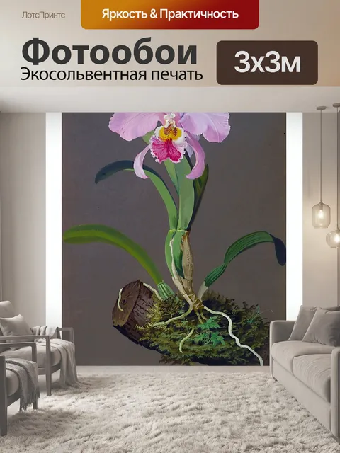 Фотообои Винтажная орхидея