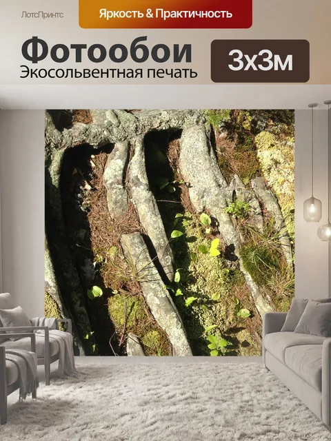 Фотообои Ледниковые царапины