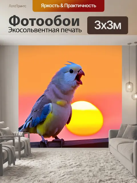 Фотообои красивая корелла, поющая на фоне заката, с ярким оранжево-розовым небом, отражающимся на ее перьях
