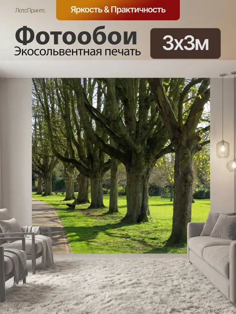 Фотообои Деревья