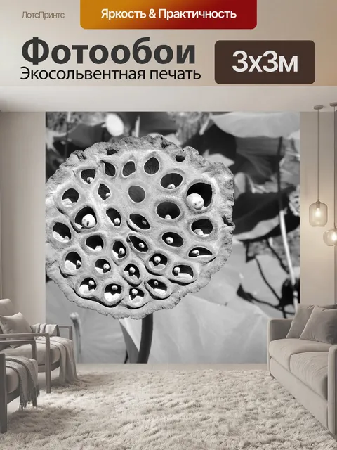 Фотообои Природа
