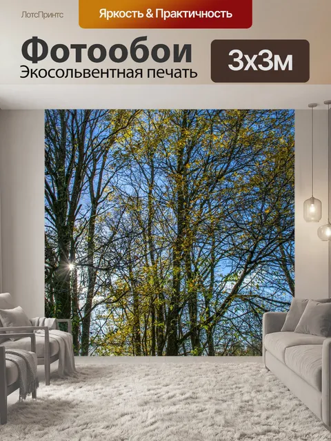 Фотообои Лес