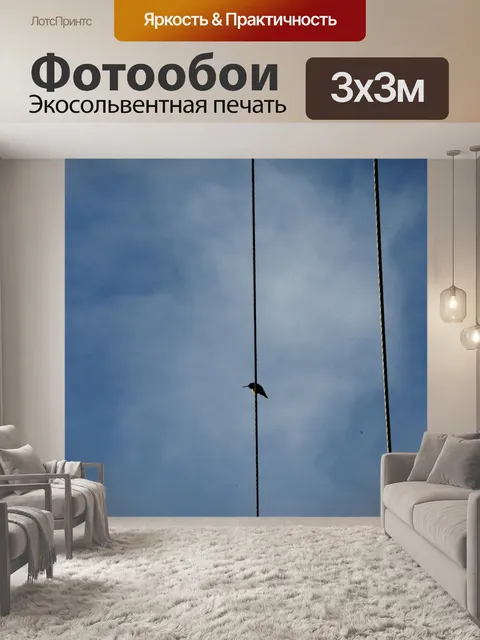 Фотообои Колибри