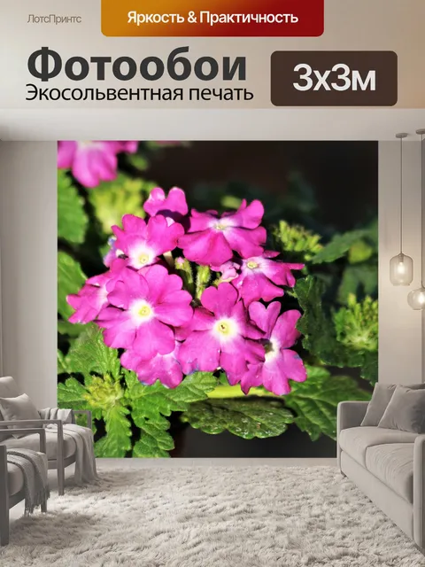 Фотообои Фиолетовые цветы вербены