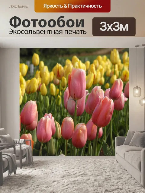 Фотообои Тюльпаны
