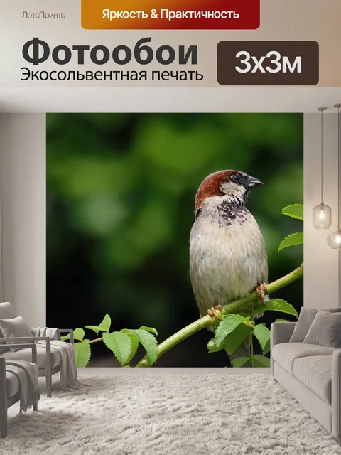 Фотообои Воробей