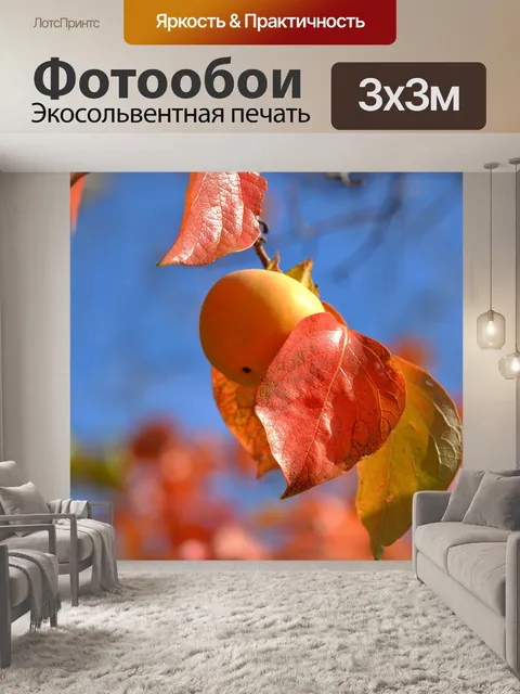 Фотообои Хурма