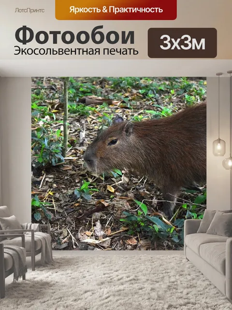 Фотообои Животные