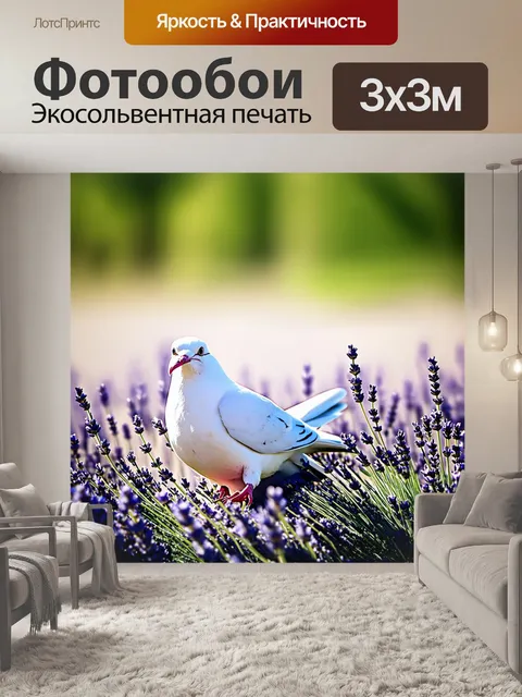 Фотообои фотография в стиле минимализм