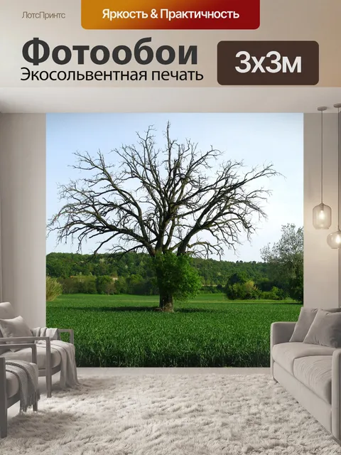 Фотообои Дерево