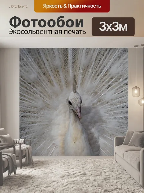 Фотообои Павлин