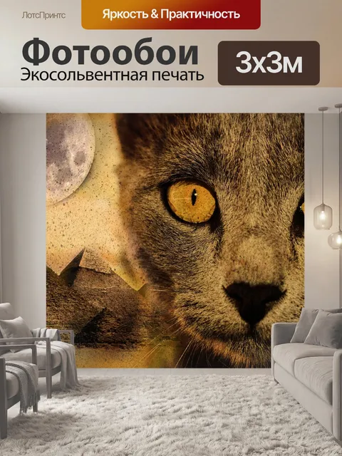 Фотообои Кошка