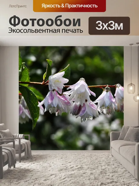 Фотообои Сад