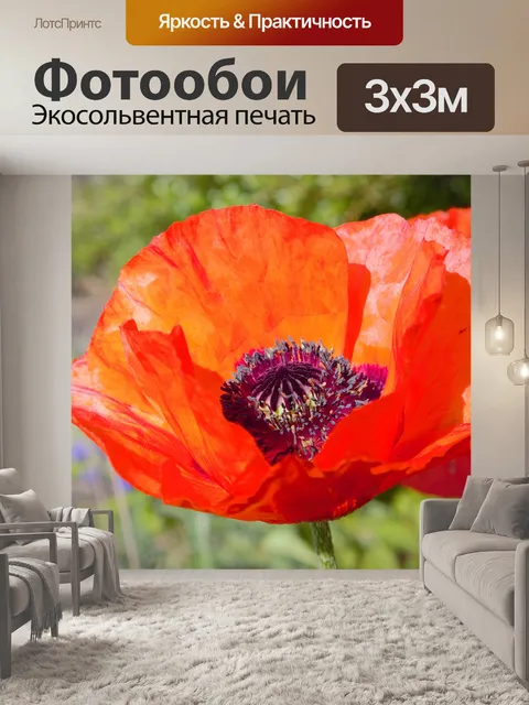 Фотообои Мак