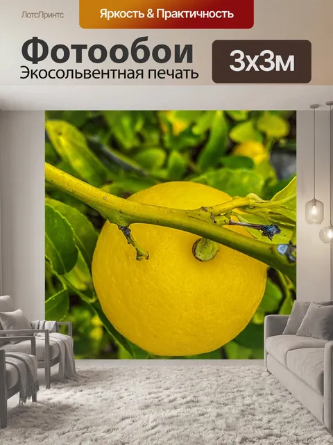 Фотообои Лимоны