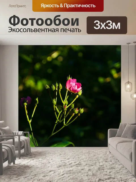 Фотообои Цветы