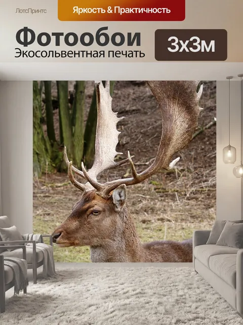 Фотообои Олень
