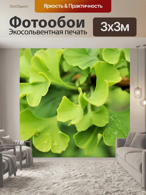 Фотообои Гинко
