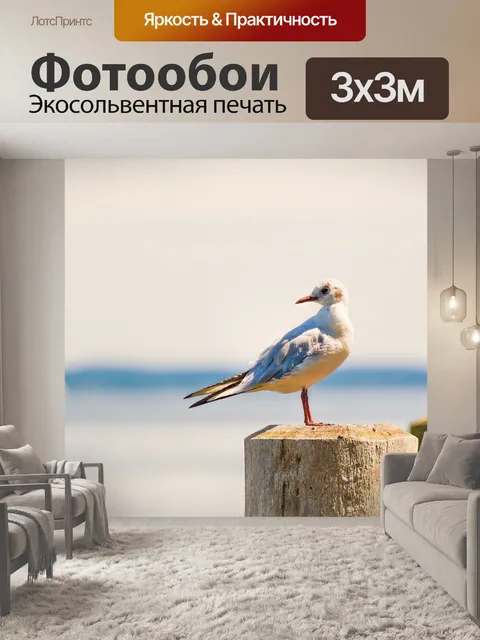 Фотообои Чайка