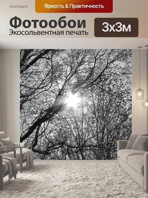 Фотообои Небо