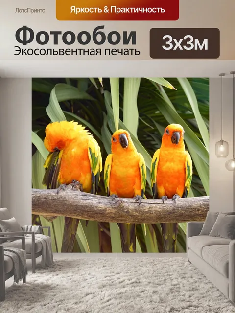Фотообои Уговаривать