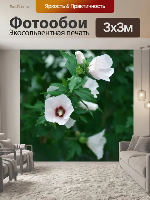 Фотообои Садовые цветы