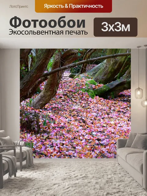 Фотообои Лепестки
