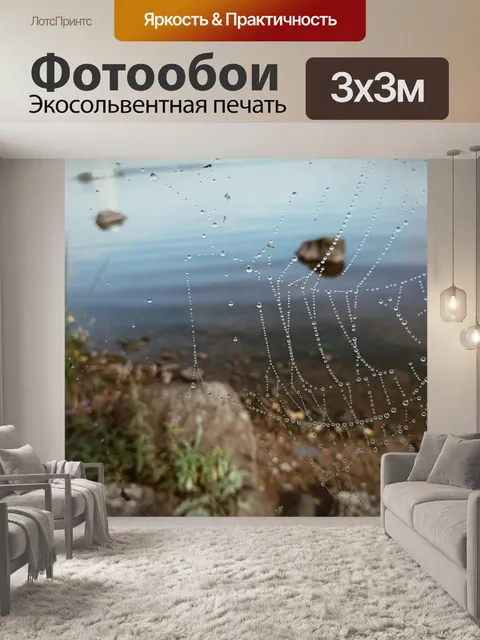 Фотообои Паутина