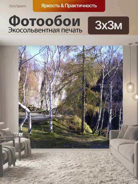 Фотообои Белая береза