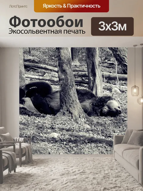 Фотообои Нести