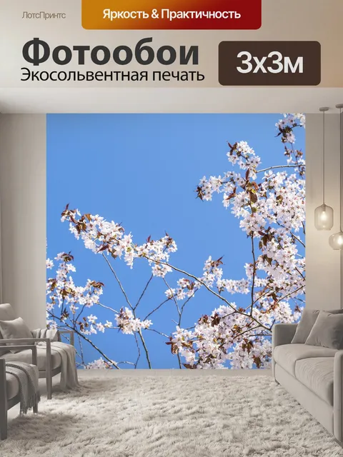 Фотообои Сакура