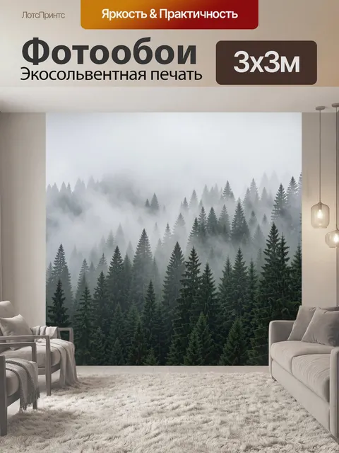 Фотообои Туманный хвойный лес