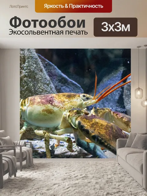 Фотообои омар под водой