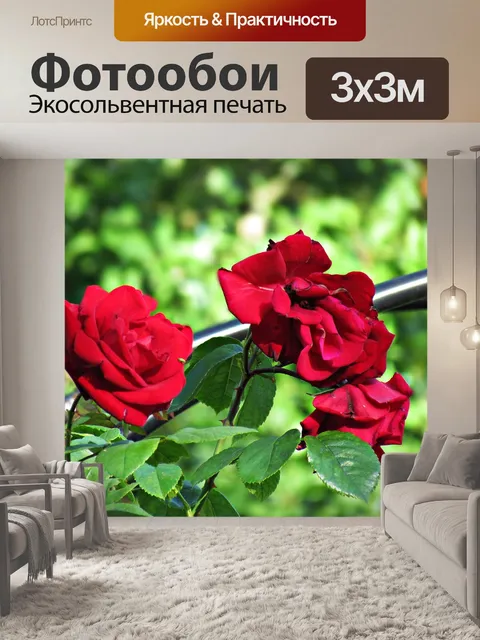 Фотообои Цветы