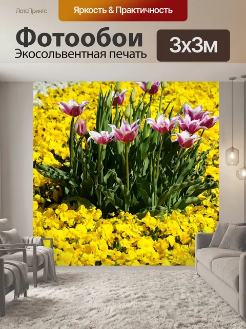 Фотообои Просвет