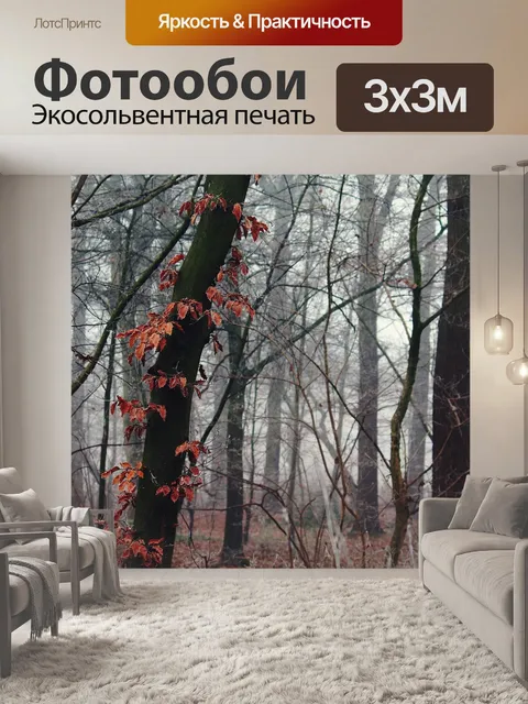 Фотообои Туман