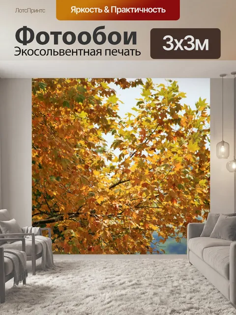 Фотообои Желтые клены