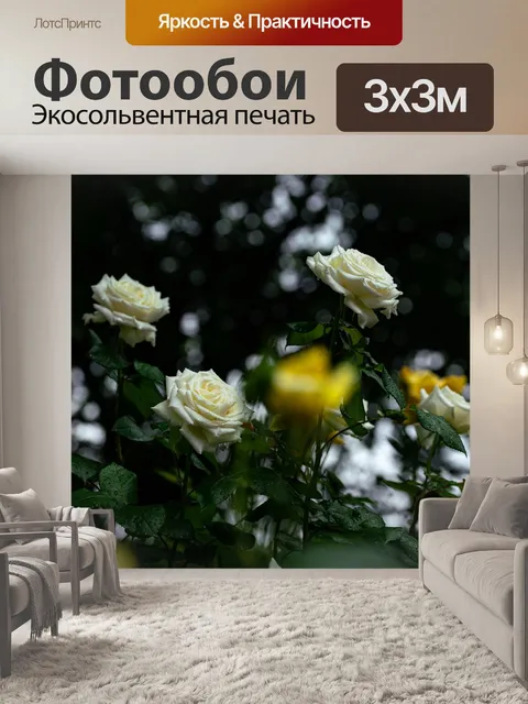 Фотообои Роза