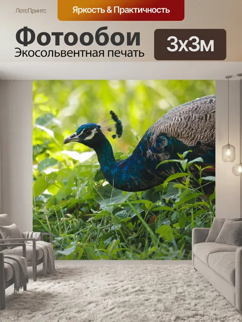Фотообои Птица